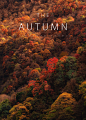 Autumn projects | Behance 上的照片、视频、徽标、插图和品牌