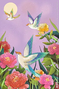 花卉海报图片,花卉海报模板下载,花朵 花卉 唯美花朵 海报背景 贺卡,花卉海报设计素材,昵图网：图片共享和图片交易中心