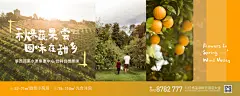 【素材能量站】海报 广告展板 地产 文旅  果蔬 农业   色彩 创意|951653 