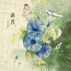 兜小兵采集到画画