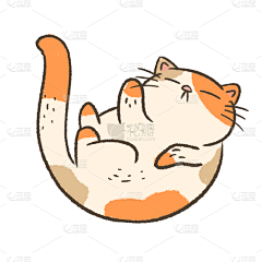 用户DYZQi18s采集到猫