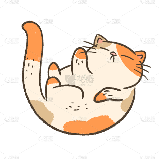 猫咪