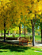 Albuquerque Botanical Gardens. stopped here on the way to arkansas last time and plan to this time, as well :)