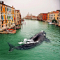 在威尼斯邂逅到的鲸鱼