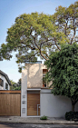 A Book Lover's Dream House With Great Nature Views : Combine a full-wall bookcase and three sunny forest spaces in this scenic two-storey in Mexico City. Wood, plaster and steel make it eco-friendly.