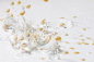 牛奶,大豆,豆奶,奶制品,室内图片undefinedID:VCG21510d42d41