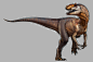 Allosaurus, Mr Jack : In 2017 I was lucky enough to create a series of dinosaur illustrations for the London Natural History Museum, working with https://wearefraktal.com/ 
Allosaurus has always been one of my favourites.