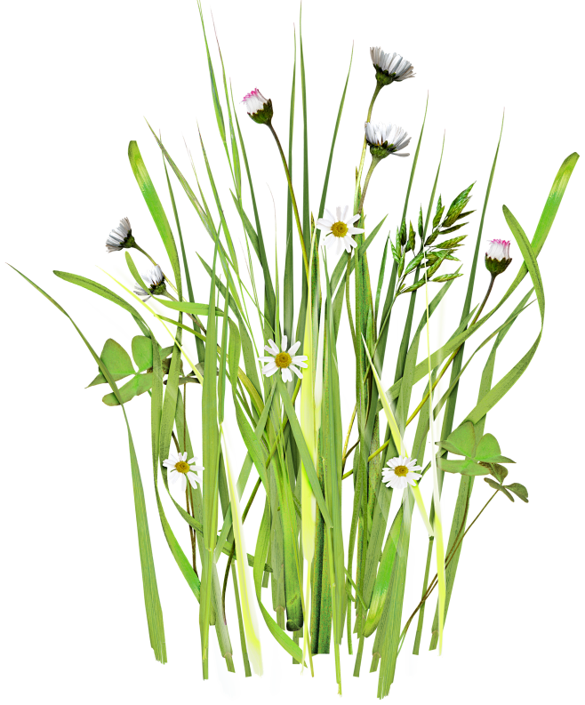 草