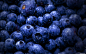 General 2560x1600 food fruit blueberries wet