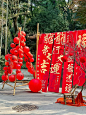 温州3️⃣天！！！新年集市跨年有地方去咯！！