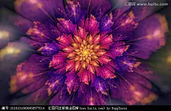 花朵抽象花朵鲜花花朵壁纸花纹背景图案花纹图案花朵装饰画花朵背景墙数码印花图案花卉手绘花花花朵印花酷炫花朵分形花花朵图案