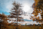 秋天,俄亥俄州,彩色图片,林荫大道,,天空,草原,水平画幅,云,无人