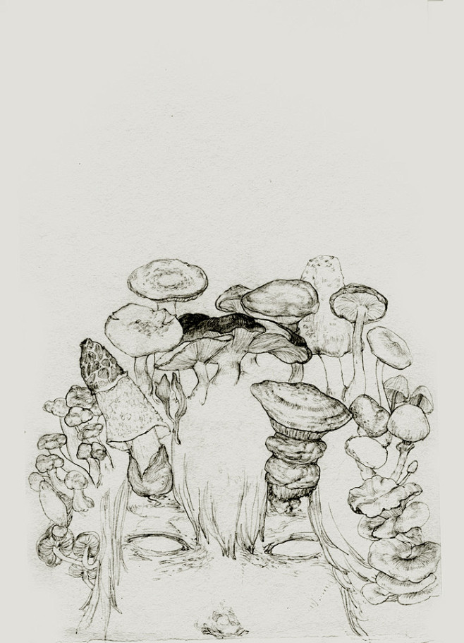 蘑菇-鱼彡山__涂鸦王国插画