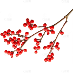 花蕊-花瓣采集到中国风素材