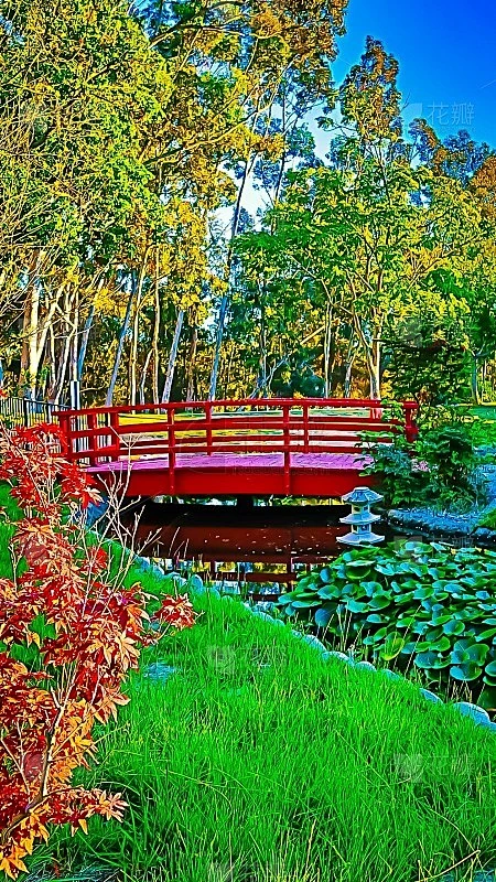 感受 幸福花园 诱人 氛围