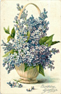 Bouquet of purple lilac in a round wicker basket ~ 1908