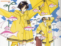 Honey-HMY采集到C CLAMP