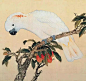                                                                                                     【 精美绝伦的《鸟谱》】--- “ 该《鸟谱》体现了余省和张为邦工笔重彩的精湛技艺，为了增强其真实性和立体感，又巧妙地吸收了西洋绘画的光影技法，正是由于《鸟谱》不同于一般的画谱，它在绘制完成后，乾隆皇帝并没有将它与蒋廷锡的原作同置于御书房内收藏，而是与宋代黄庭坚《李白忆旧游诗》卷、米芾...展开全文c    