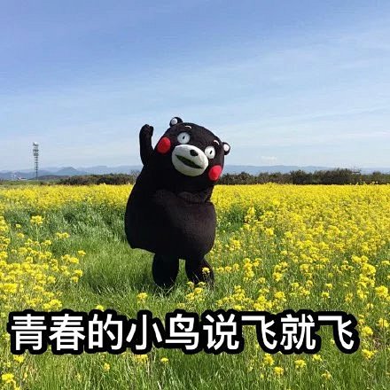 #动漫资源社#【友谊的小船说翻就翻--熊...