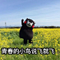 #动漫资源社#【友谊的小船说翻就翻--熊本熊系列】部长可萌！