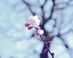 立春节气宽屏背景高清素材 立春 背景 节气 背景 设计图片 免费下载