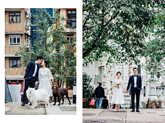 晶晶zhou采集到结婚