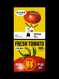 猪兔子打酱油采集到版式设计
