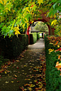秋季拱门，英国伯克郡 