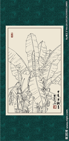 澜澜888采集到芭蕉叶