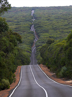 HuangJYu采集到道路