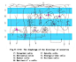 SYSTEMATIC ANATOMY Fig. VI-2-40 Representation of the layers of the human cerebral cortex