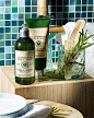 L'OCCITANE en Provence (@loccitane)'s Instagram Profile | Tofo.me · Instagram网页版