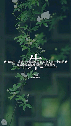 有点胡渣采集到姓氏手机壁纸