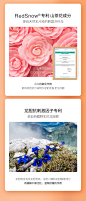 朵拉朵尚山茶花护肤品套装正品化妆品补水保湿水乳全套学生男士女-tmall.com天猫