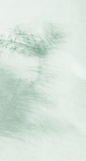 477c0e74