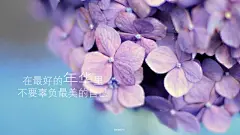 美丽文字_文字壁纸_心情文字_美文_爱壁纸原创_心情故事_励志_2014年28周壁纸精选_花_2014年7月壁纸精选_校园时光_桌面壁纸_爱壁纸HD