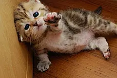 help!