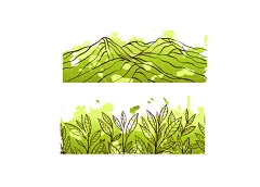 茶素材  - 源文件下载【酷图网】茶素材,茶杯,茶水,杯子,茶叶素材,中国风素材,茶道,茶场,绿茶,红茶,白茶,茶Logo