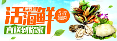 爱新觉罗·金燕采集到钻展 banner