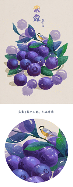 46C2bwMP采集到平涂