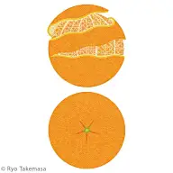 动漫-插画-游戏