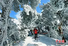 一组图告诉你大寒时节的寒潮有多猛-图片频道-中国天气网 : 来源：中国天气网