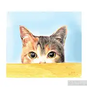 白雪公主和小矮人