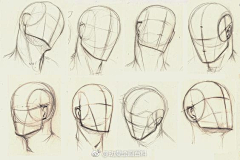 燕剪孑行采集到【绘画基础】人体理论