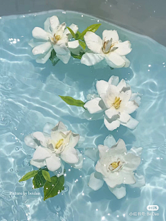 反手摘柚子采集到氛围练习