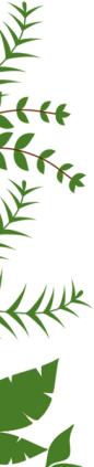 植物.png (136×669)