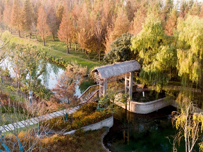 长三角一体化示范区环元荡滨水景观设计 /...