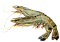 虾
