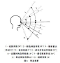 手部活动 人机尺寸图的搜索结果_百度图片搜索