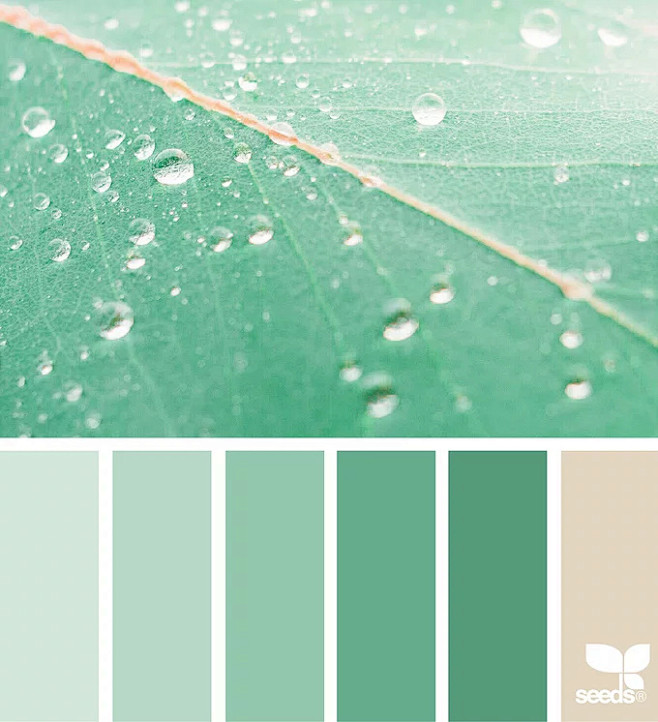 Fresh Hues | Design ...